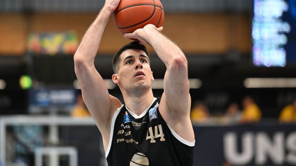 nalycovfer3 bookmaker basketball